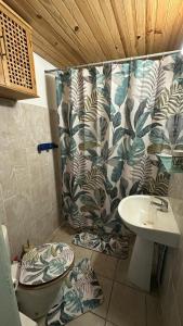 a bathroom with a toilet and a sink at La Maison Du Bonheur in Capesterre-Belle-Eau +10 photos