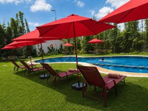 Eine Gruppe von Stühlen und Sonnenschirmen neben einem Pool in der Unterkunft Hotel Ben Batouta - Tanger in Tangier