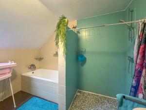 a bathroom with a shower and a bath tub at Großlangenfeld in Großlangenfeld +48 photos