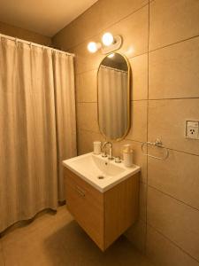 a bathroom with a sink and a mirror at Alto Belgrano II in Mendoza +17 photos