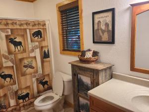 a bathroom with a toilet and a sink at Further Up & Further In in Topton +57 photos
