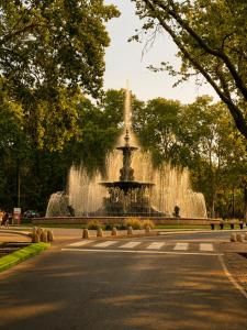 a fountain in the middle of a park with a street at Alto Belgrano II in Mendoza