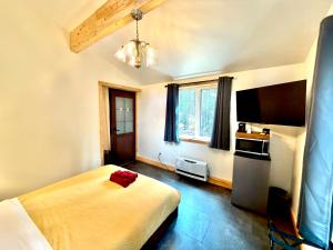 a bedroom with a bed and a television in a room at Roberts Lodge in Tok