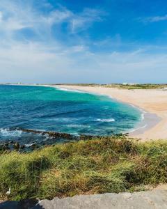 a beach with blue water and a sandy shore at Estrela do Mar - 100m da praia in Peniche