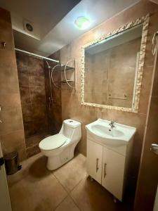 a bathroom with a toilet and a sink and a mirror at Le Grey Arica in Arica