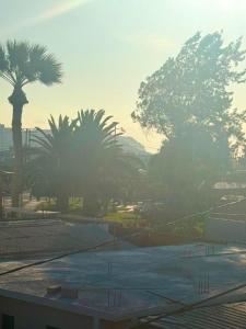 a view of a parking lot with palm trees at Le Grey Arica in Arica +13 photos