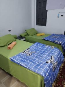 two beds sitting next to each other in a room at Grand Backpackers Hostel Luxor in Luxor +113 photos