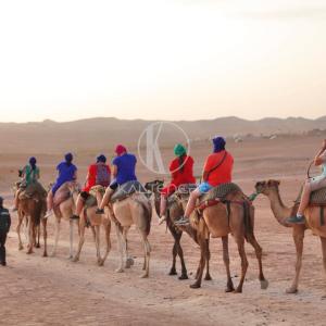a group of people riding camels in the desert at Kal Tenere Luxury Camp in El Karia