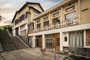 a dog standing in front of a building at The Deer Park Inn in Nara