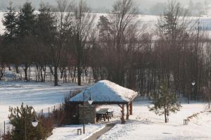 Zajazd Antresola في Snochowice: شرفة مع سقف مغطى بالثلج في حقل