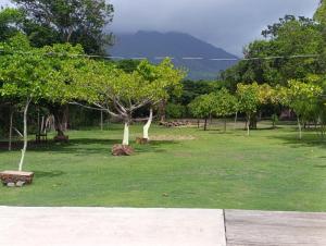 a park with trees and grass with a mountain in the background at Kencho's Beach House-Sunset & Beachside stay in Ometepe in El Perú