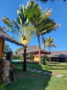 two palm trees in a yard with a building at Hotel Balneario Las Tinajitas in Choreti