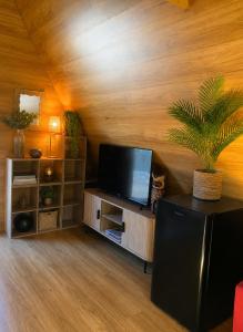 a living room with a flat screen tv and a plant at Kangaroo Island A-Frame Off-Grid Escape in Pelican Lagoon