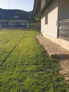 a field of grass next to a house at Pensiunea Mușata Bucovinei in Vama +66 photos