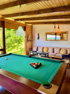 a pool table in the living room of a house at Casa Rogin Chalet in Buhalniţa