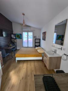 a bedroom with a bed and a sink in it at Chez Frida in Entre-Deux