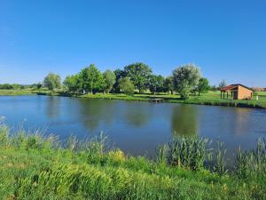 a view of a river with a house in the background at Ubytování na ranči in Hrabětice