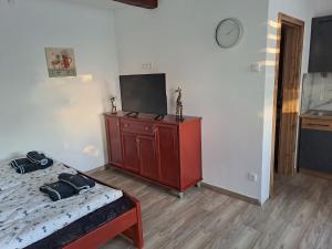 a bedroom with a bed and a tv on a dresser at Ubytování na ranči in Hrabětice