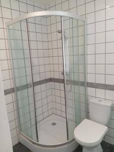 a bathroom with a shower and a toilet at Petit studio in La Souterraine