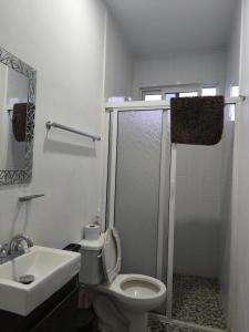 a bathroom with a shower and a toilet and a sink at Loft los Colibries 6 parking option in Tlaxcala de Xicohténcatl +39 photos