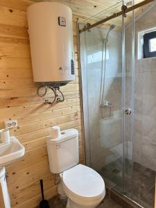 a bathroom with a toilet and a shower at Барнхаус in Cholpon-Ata