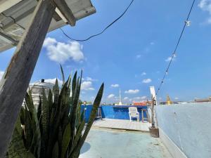 a view from the balcony of a house with a cactus at Pineapple Express hostel at BKK in Bang Bua Thong Railway Station +20 photos