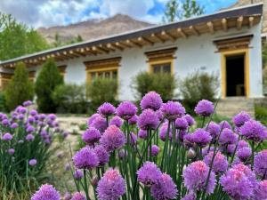 a bunch of purple flowers in front of a house at Lharje Resort in Satti