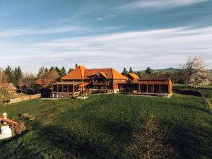 an aerial view of a house with a large yard at Honor Pensiune & Spa in Izvoare