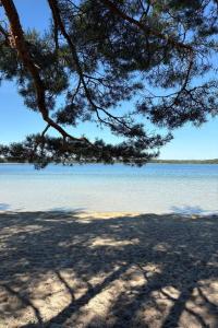 a tree hanging over a body of water at Krainya hata in Szack +1 photo