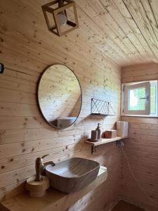 a bathroom with a sink and a mirror at Conacul lui Patrick in Poenari +182 photos