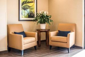 two chairs and a table with a potted plant at Comfort Suites Hartville-North Canton in Uniontown