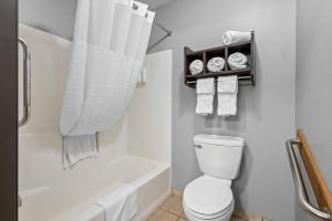a bathroom with a toilet and a tub and a sink at Park Inn by Radisson Ortonville in Ortonville +27 photos