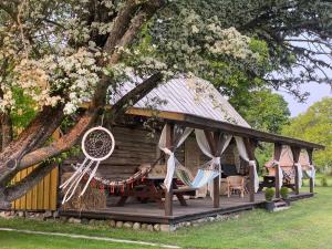 a wooden cabin with a hammock and a tree at Gaismas klēts in Upmaļciems