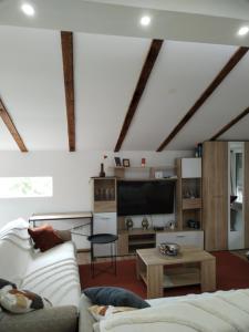 a living room with a couch and a flat screen tv at Vila Lokvanj in Gornja Vranjska