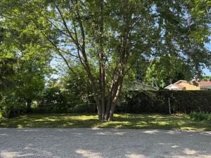 a tree sitting in the middle of a yard at Appartement tout inclus - Longs séjours in Mirabel
