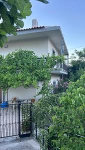 a white house with a fence and trees at Lazatka in Samothraki