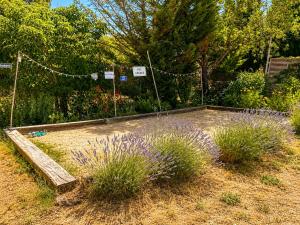 a garden with purple flowers and a fence at L'Oléastre en Luberon in Grambois +2 photos
