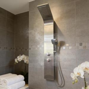 a shower with a shower head in a bathroom at Cozy spa sun set in Trois Bassins +21 photos