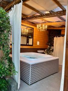 a bath tub in a bathroom with a mirror at La Casa sulla Roccia in Pisogne