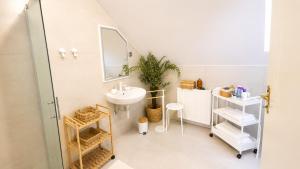 a bathroom with a sink and a mirror at Apartments Ladka in Begunje na Gorenjskem +57 photos