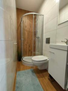 a bathroom with a shower and a toilet and a sink at Apartament i Pokoje u Moniki in Witów +17 photos