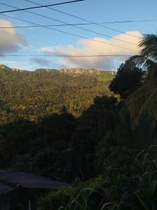 a view of a mountain with trees and power lines at Mount crest homestay in Kandy