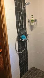 a shower with a hose in a bathroom at Villa SULKAVANRANTA in Sulkava