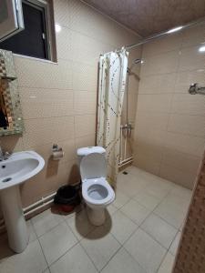 a bathroom with a shower and a toilet and a sink at Andranik B&B in Goris +54 photos