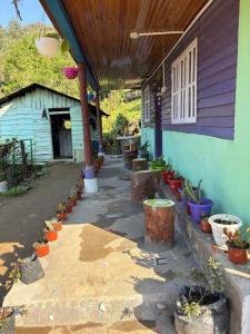 a house with a bunch of potted plants next to it at Karki Farm Stay in Bijanbāri Bāzār
