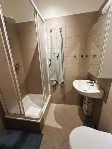 a bathroom with a shower and a toilet and a sink at Rittergut Hohenfichte Herrenhaus in Leubsdorf +6 photos