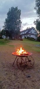 a table with fire on it in a field at Kõrgemäe Turismitalu in Tusti