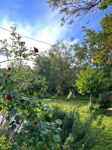 a view of a garden with flowers and trees at Casale dei cappuccini in Scurcola Marsicana