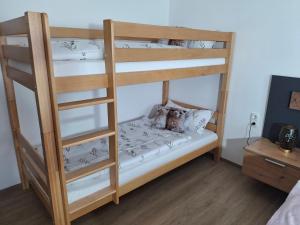 a bunk bed in a room with a ladder at Sweet Home Alpacas in Timelkam