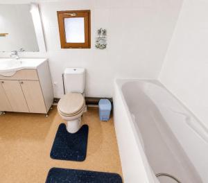 a bathroom with a toilet and a bath tub at L'Authentique - 5 Voyageurs - Château à 150m in Villeneuve +12 photos
